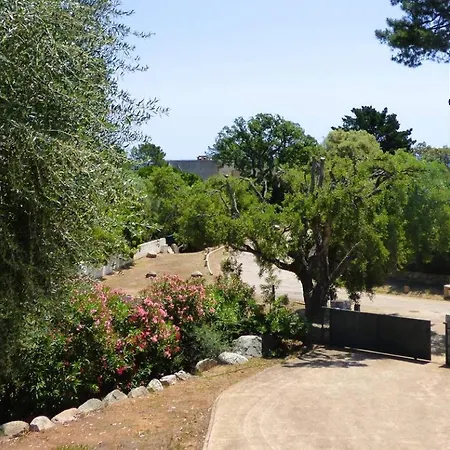 Villa Stella Diana, 12 Pers, 100 M Pinarellu